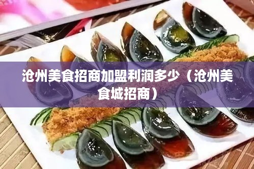 沧州美食招商加盟利润多少（沧州美食城招商）