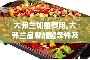 大弗兰加盟费用,大弗兰品牌加盟条件及费用详情