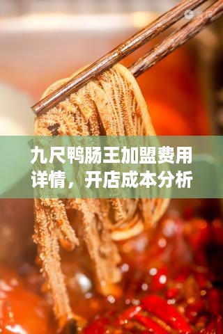 九尺鸭肠王加盟费用详情，开店成本分析