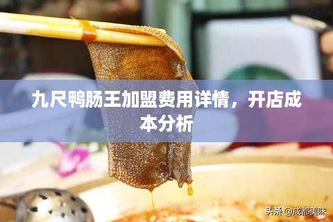 九尺鸭肠王加盟费用详情，开店成本分析