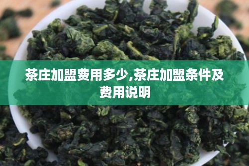 茶庄加盟费用多少,茶庄加盟条件及费用说明