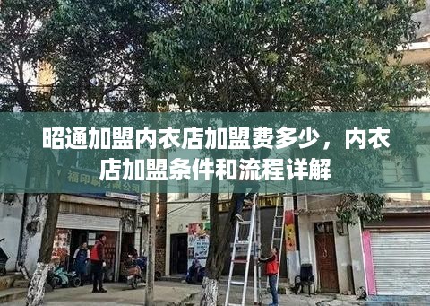 昭通加盟内衣店加盟费多少，内衣店加盟条件和流程详解