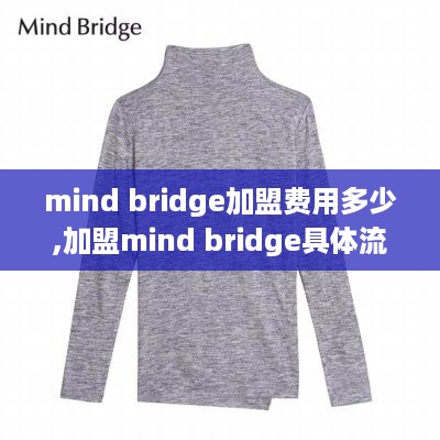 mind bridge加盟费用多少,加盟mind bridge具体流程介绍