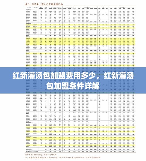 红新灌汤包加盟费用多少，红新灌汤包加盟条件详解