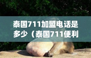 泰国711加盟电话是多少（泰国711便利店可以加盟吗）