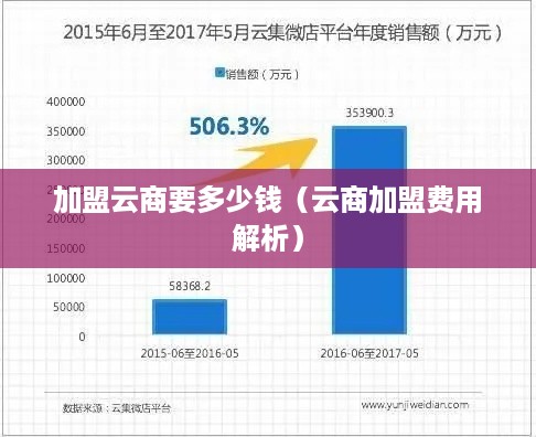 加盟云商要多少钱（云商加盟费用解析）