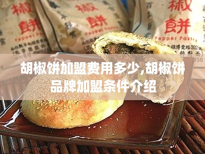 胡椒饼加盟费用多少,胡椒饼品牌加盟条件介绍