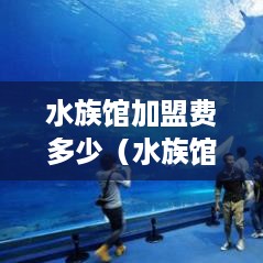 水族馆加盟费多少（水族馆加盟条件及费用解析）