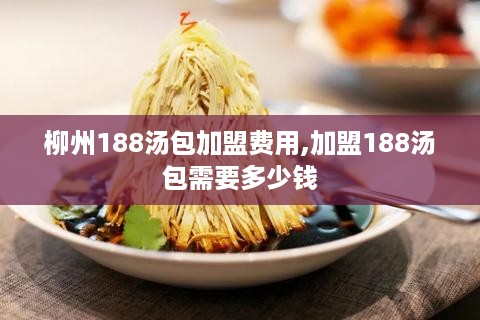 柳州188汤包加盟费用,加盟188汤包需要多少钱