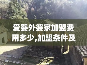 爱婴外婆家加盟费用多少,加盟条件及费用详解