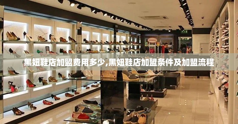 黑妞鞋店加盟费用多少,黑妞鞋店加盟条件及加盟流程