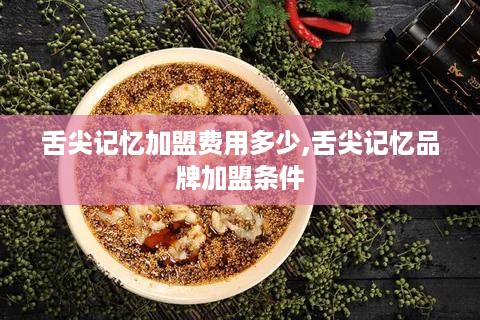 舌尖记忆加盟费用多少,舌尖记忆品牌加盟条件