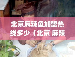 北京麻辣鱼加盟热线多少（北京 麻辣烫加盟店排行榜 招商加盟）