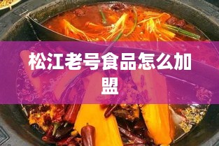 松江老号食品怎么加盟