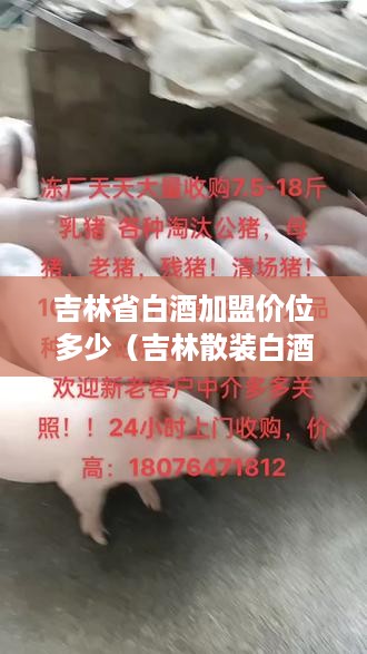 吉林省白酒加盟价位多少（吉林散装白酒加盟）