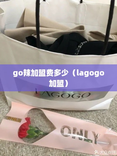 go辣加盟费多少（lagogo加盟）