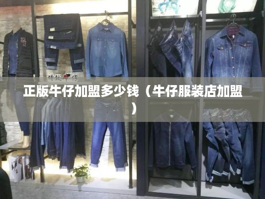 正版牛仔加盟多少钱（牛仔服装店加盟）