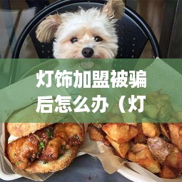 灯饰加盟被骗后怎么办（灯饰加盟骗局打官司能赢吗）