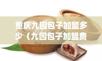 重庆九园包子加盟多少（九园包子加盟费）