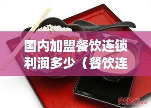 国内加盟餐饮连锁利润多少（餐饮连锁加盟店赚钱多）