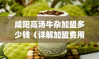 咸阳高汤牛杂加盟多少钱（详解加盟费用及流程）