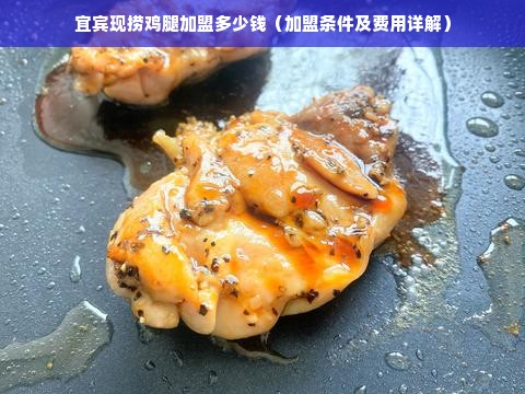 宜宾现捞鸡腿加盟多少钱（加盟条件及费用详解）