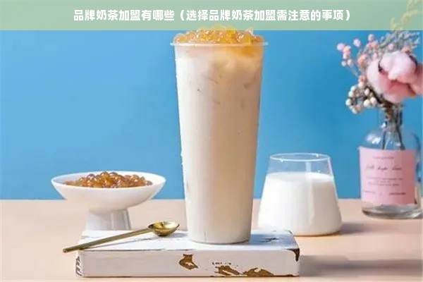 品牌奶茶加盟有哪些（选择品牌奶茶加盟需注意的事项）