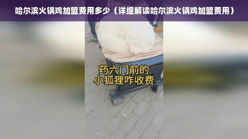 哈尔滨火锅鸡加盟费用多少（详细解读哈尔滨火锅鸡加盟费用）