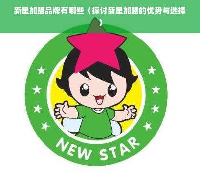 新星加盟品牌有哪些（探讨新星加盟的优势与选择）