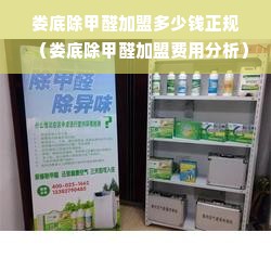 娄底除甲醛加盟多少钱正规（娄底除甲醛加盟费用分析）