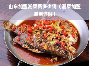 山东加盟湘菜费多少钱（湘菜加盟费用详解）