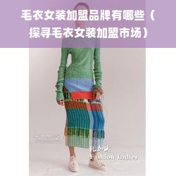 毛衣女装加盟品牌有哪些（探寻毛衣女装加盟市场）