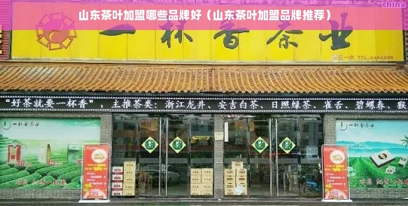 山东茶叶加盟哪些品牌好（山东茶叶加盟品牌推荐）