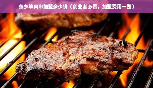 东乡羊肉串加盟多少钱（创业者必看，加盟费用一览）