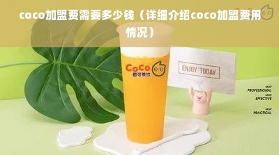 coco加盟费需要多少钱（详细介绍coco加盟费用情况）