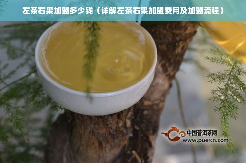 左茶右果加盟多少钱（详解左茶右果加盟费用及加盟流程）