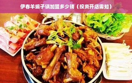 伊春羊蝎子锅加盟多少钱（投资开店需知）