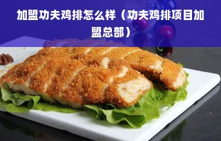 加盟功夫鸡排怎么样（功夫鸡排项目加盟总部）