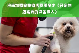 济南加盟宠物狗店费用多少（开宠物店需要的资金投入）