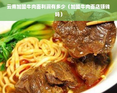 云南加盟牛肉面利润有多少（加盟牛肉面店赚钱吗）