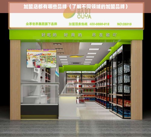 加盟店都有哪些品牌（了解不同领域的加盟品牌）