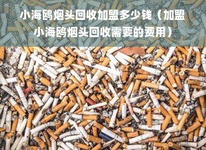 小海鸥烟头回收加盟多少钱（加盟小海鸥烟头回收需要的费用）