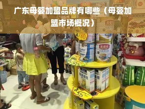 广东母婴加盟品牌有哪些（母婴加盟市场概况）