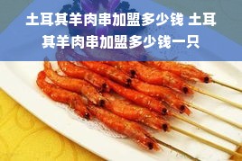 土耳其羊肉串加盟多少钱 土耳其羊肉串加盟多少钱一只