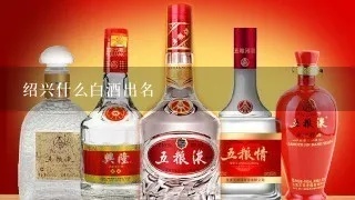 绍兴白酒加盟有哪些品牌（绍兴白酒加盟品牌推荐）