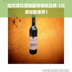 哈尔滨红酒加盟有哪些品牌（红酒加盟推荐）