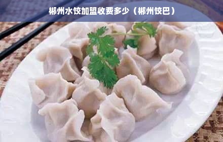 郴州水饺加盟收费多少（郴州饺巴）