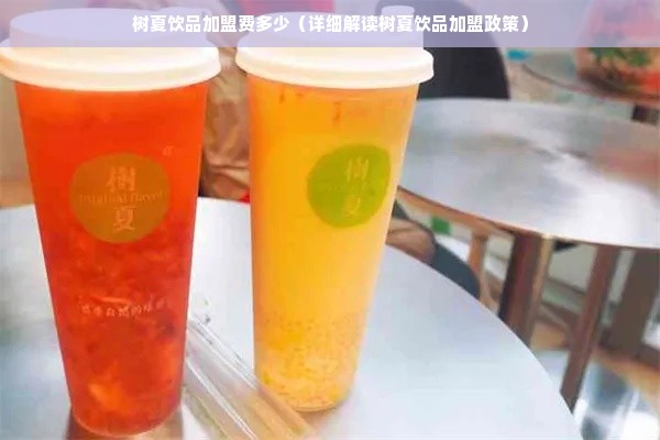 树夏饮品加盟费多少（详细解读树夏饮品加盟政策）