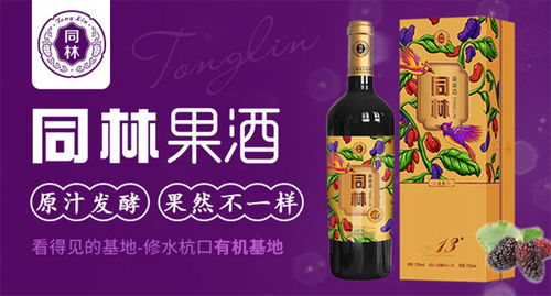 果酒加盟品牌公司有哪些（果酒加盟品牌推荐）