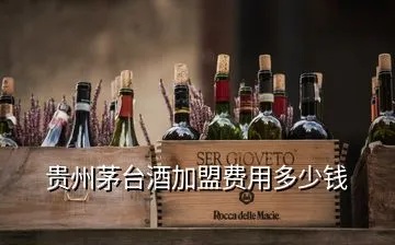 贵州省白酒加盟多少钱（贵州省白酒加盟费用详解）